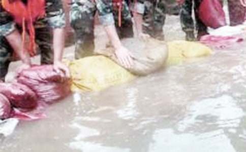 抗洪救灾的感谢信