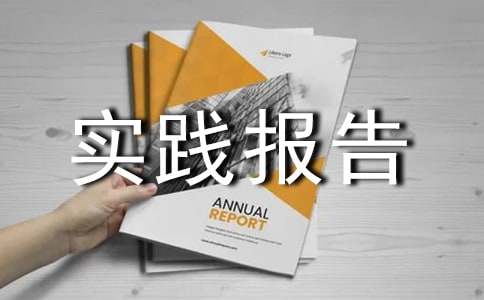 暑假社会实践报告15篇