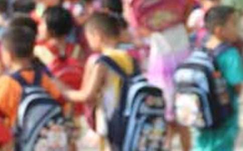 小学生美术教学工作总结