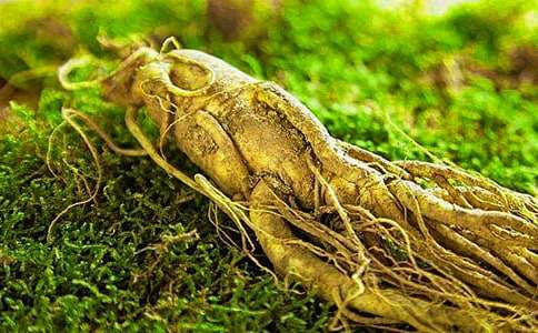 个人参股经营合作合同