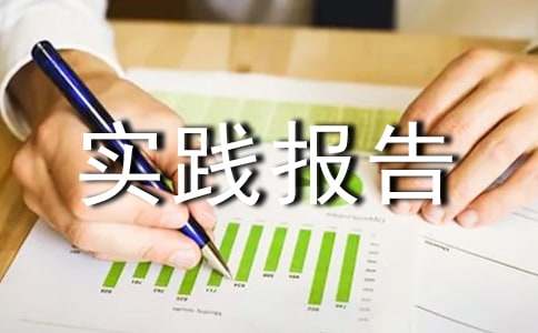 高中生社会实践报告精选15篇