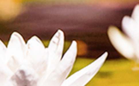 有关夏至的谚语200句