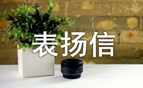 给导游的表扬信范文