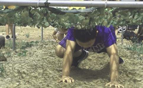 北京夏令营活动方案