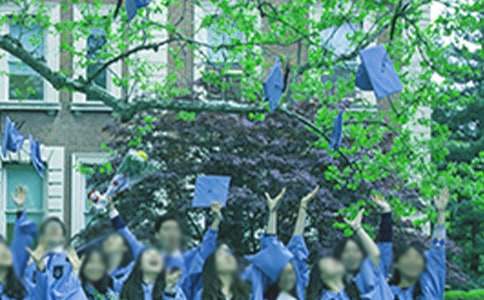 2008年大学毕业生IBM实习总结