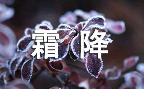 关于霜降节气的谚语70句