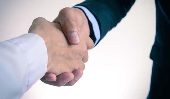 股东的合作协议书