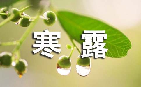 寒露节气的谚语