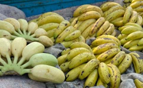 关于香蕉的谜语