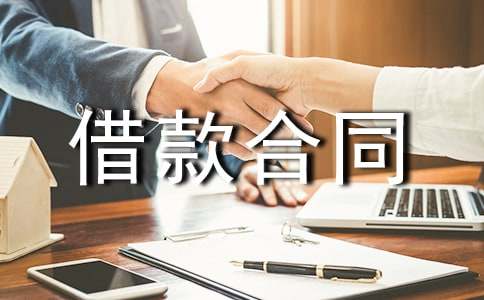 个人借款合同(通用11篇)