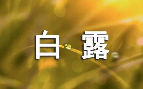 有关白露节气的谚语大全