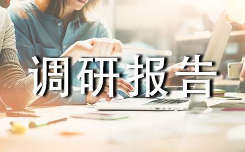 计算机专业调研报告（精选14篇）