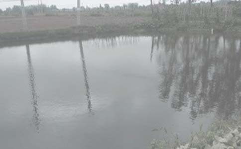 承包鱼塘合同协议书