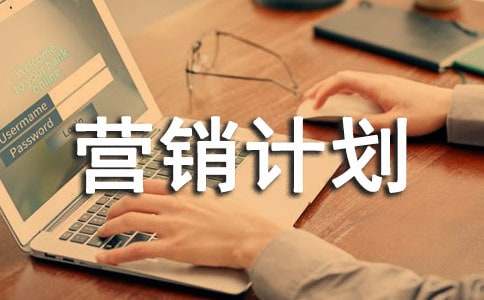 企业年度营销计划书