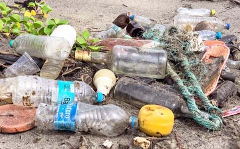 农村垃圾处理工作汇报