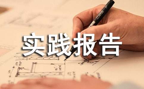 社会实践报告范文