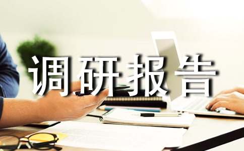 信息技术的调研报告