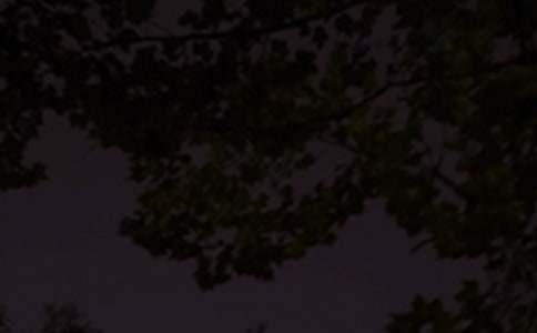 经典暖心晚安说说大全（精选110句）