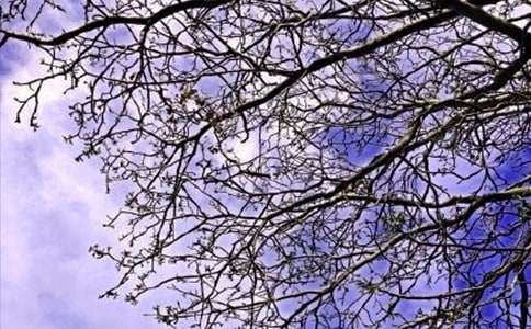 经典温暖的早安心语朋友圈锦集61句