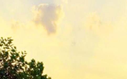 【推荐】动人的早安心语朋友圈15条