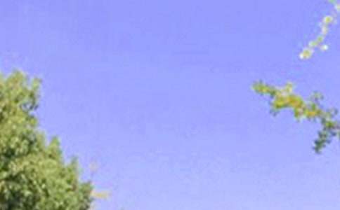 【推荐】优美的早安心语朋友圈220句