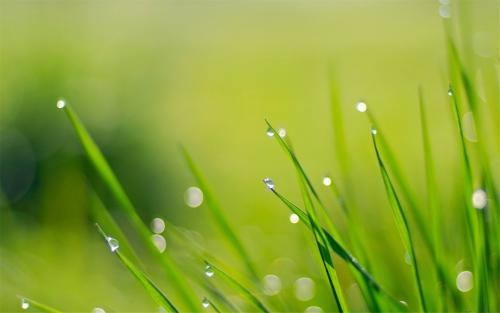 1598007105703585.jpg 关于寒露出生的女生好吗_描写寒露古诗词有哪些