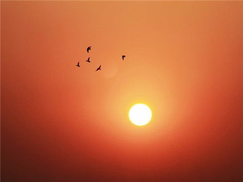 1597838288634913.jpg 处暑养生方法有哪些_处暑节气五大养生圣品