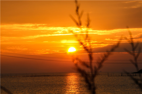 三伏天艾灸的最佳时间是什么时候