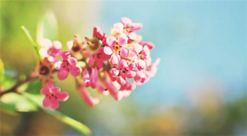 1596688624533916.jpg 立秋了吃什么才健康