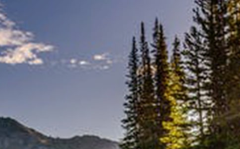 关于风景作文400字