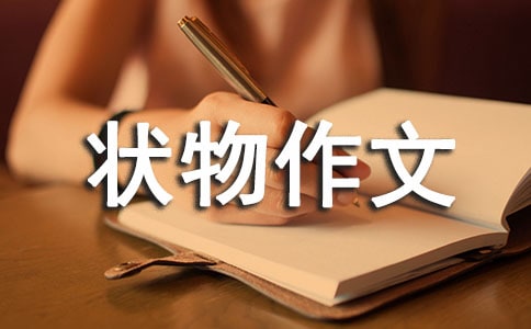 状物作文：动物