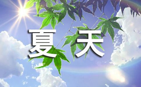 夏天的早晨作文300字
