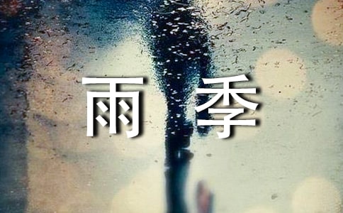 《守候在雨季的大伞》初中生读后感