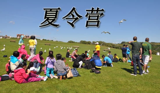 争创示范宿舍夏令营日记