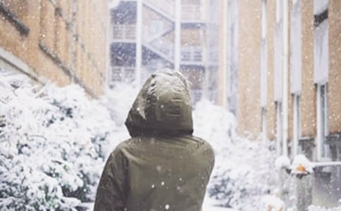 我喜欢上了下雪五年级日记