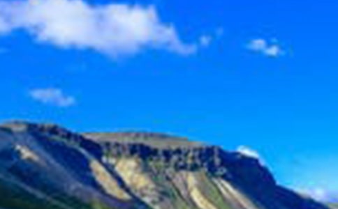 门前风景独好作文