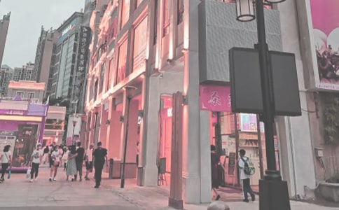 《时代广场的蟋蟀》的读后感350字