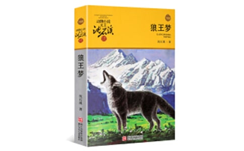 关于《狼王梦》读后感700字