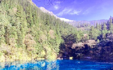 九寨沟游记作文合集15篇