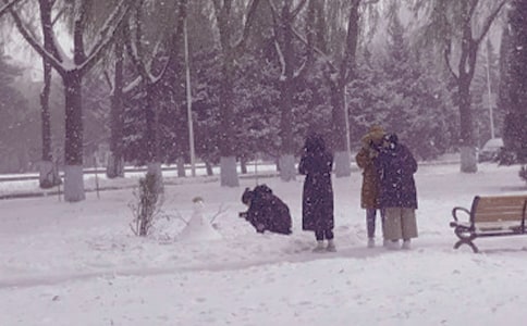 冬日的早晨作文250字