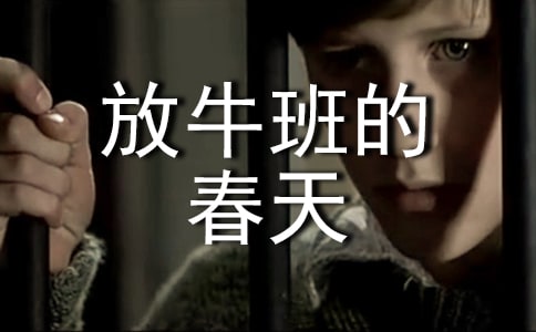 《放牛班的春天》观后感范文(通用29篇)