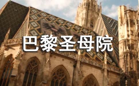 关于巴黎圣母院的中学读后感