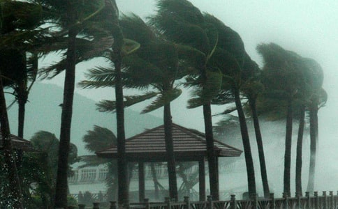 超强台风观后感范文