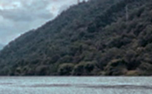 用侧面描写景色的作文（精选32篇）