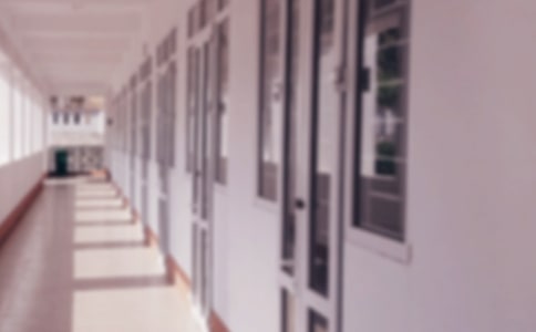 我们的学校高中说明文