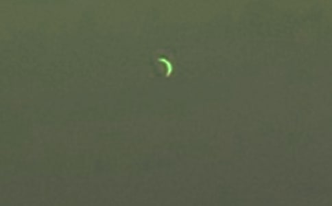 你看月亮的脸高中说明文