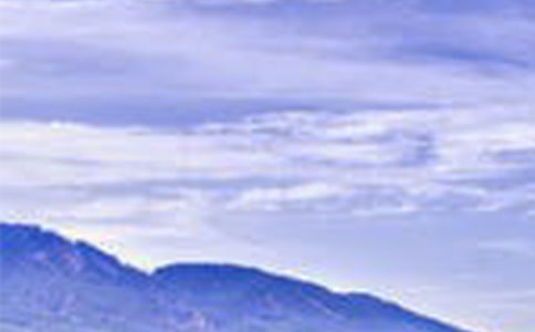 这里风景独好800字作文