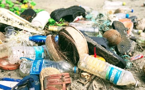 小区垃圾桶观后感