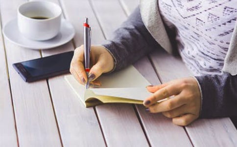 关于猫武士的读后感