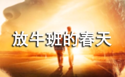 放牛班的春天观后感800字（通用25篇）